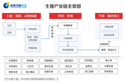 电解铜期货交易流程